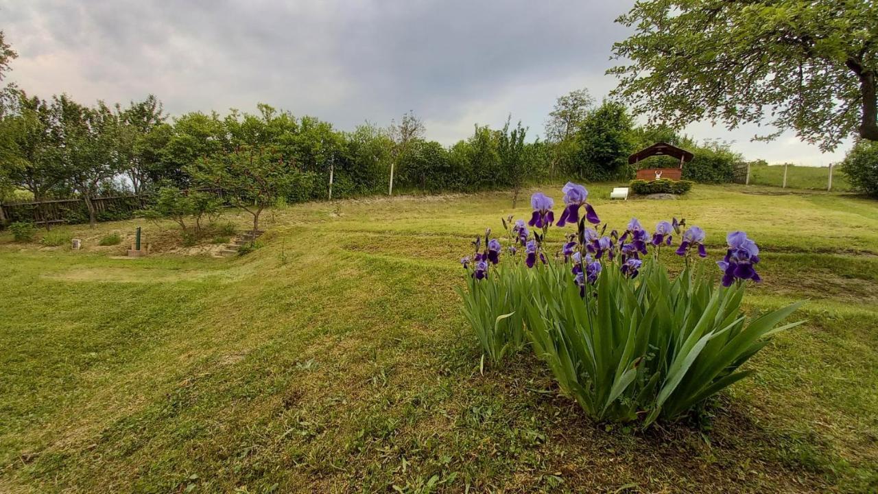 Appartamento Vadászles Vendégház Bukkszentmarton Esterno foto