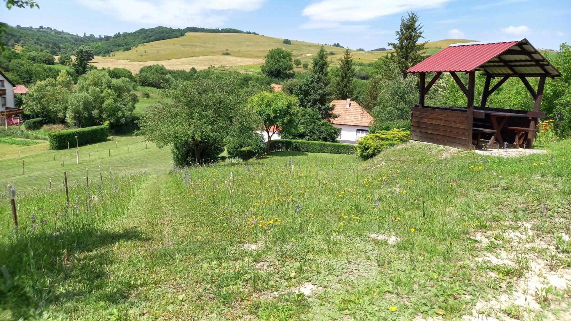 Appartamento Vadászles Vendégház Bukkszentmarton Esterno foto