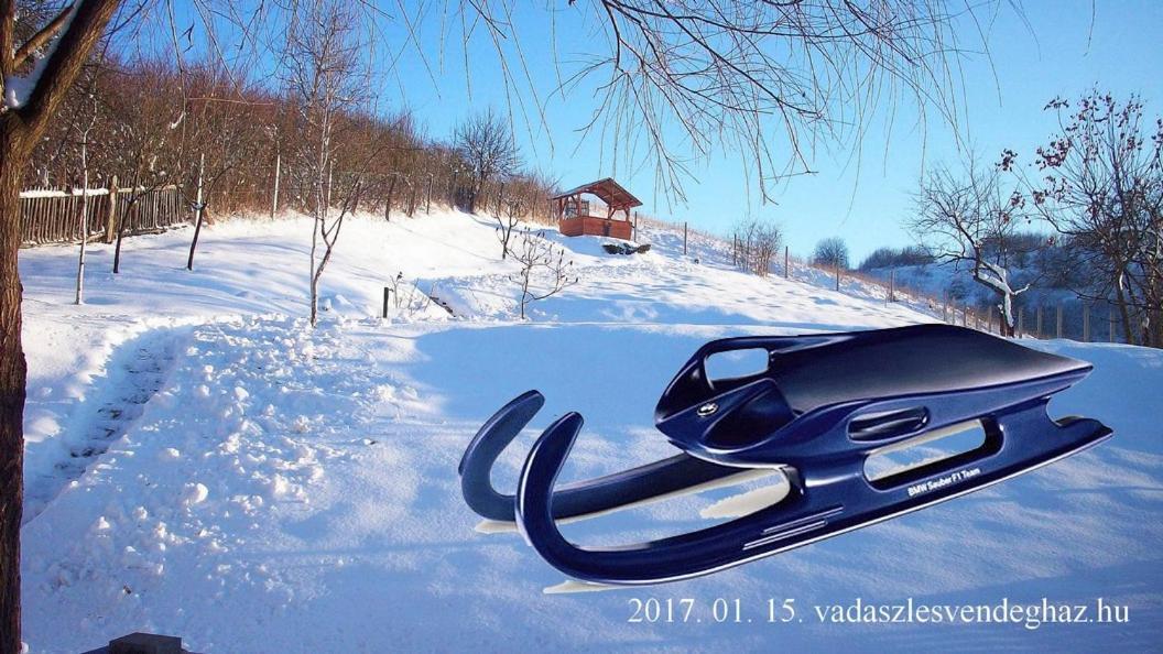 Vadászles Vendégház Bukkszentmarton Esterno foto