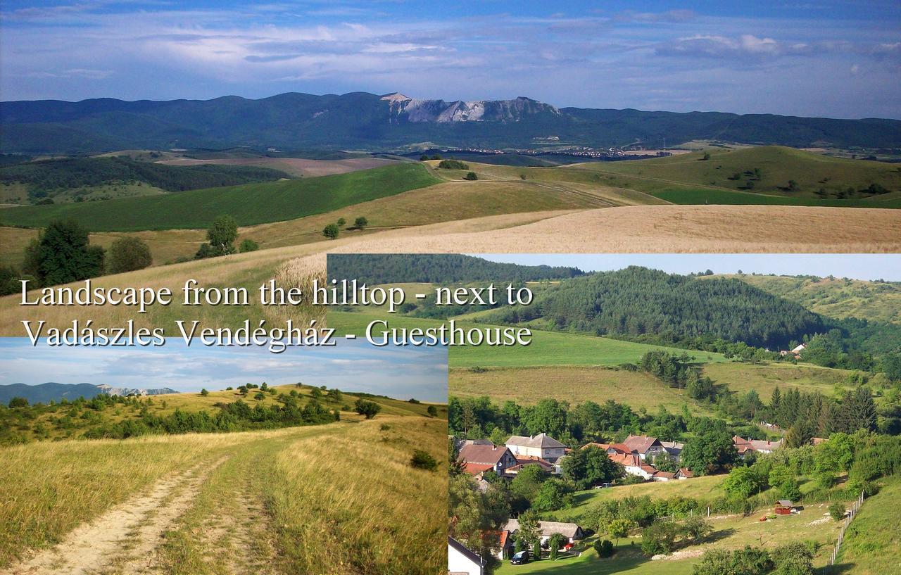 Vadászles Vendégház Bukkszentmarton Esterno foto